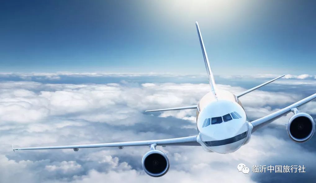 航空联盟的力量，航空公司与经济高效的飞行选择