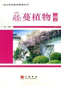 关于园林设计的成语，探寻古典智慧与现代美学的融合