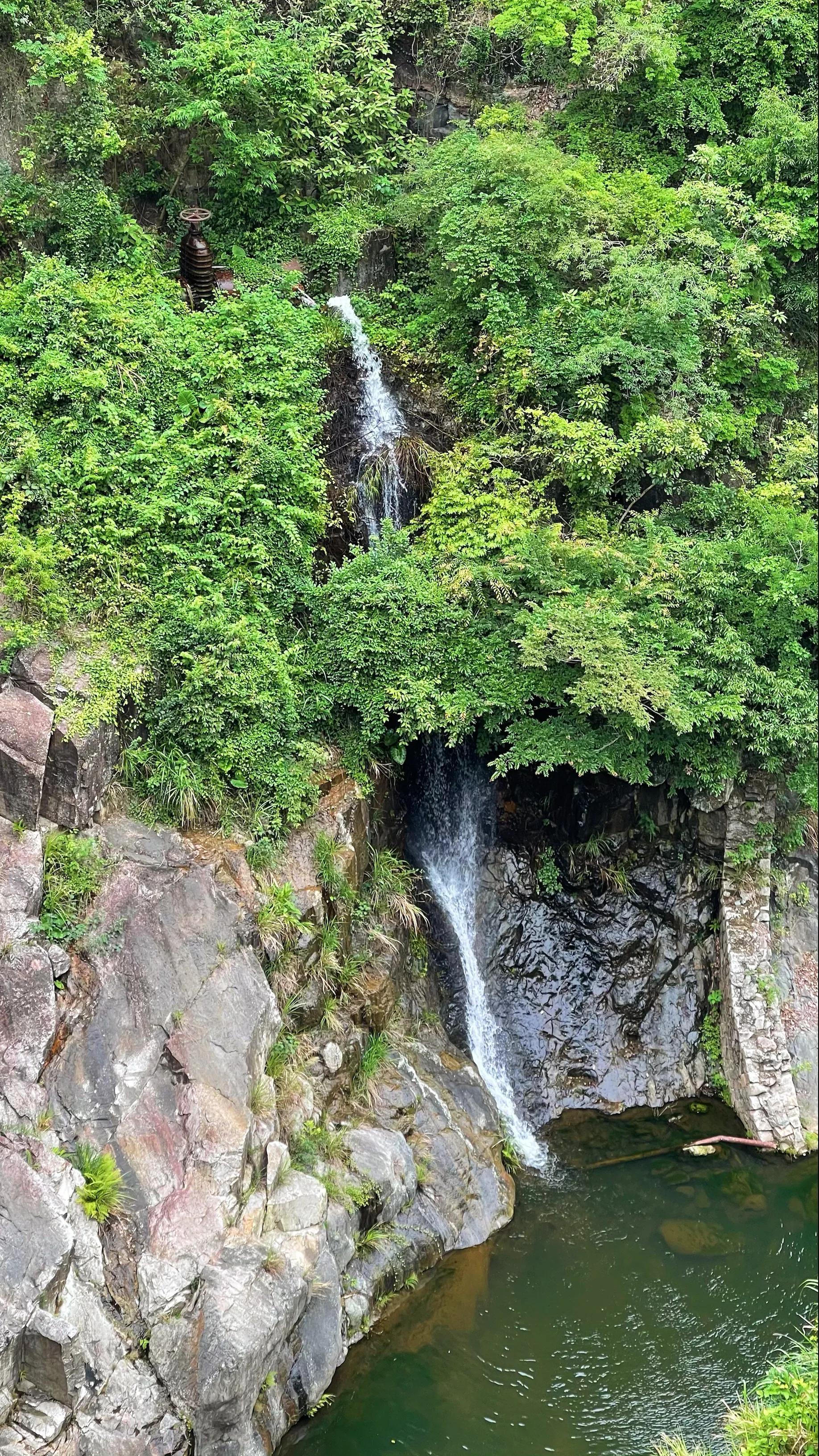 福建旅游广告语设计，探寻千年风华，品味多彩福建