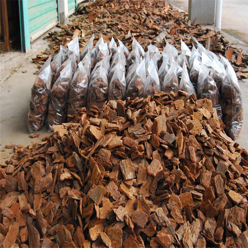 生物滤料除臭树皮，环保技术的革新与应用