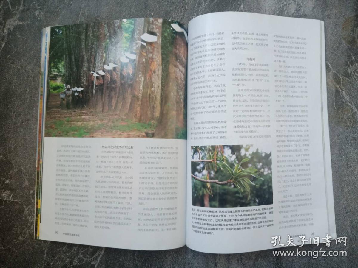 来源刊物，信息的源头与知识的桥梁