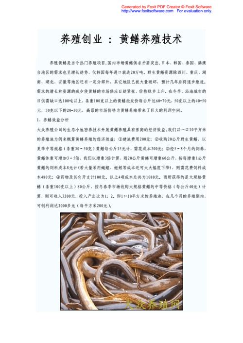 科学养殖黄鳝大全