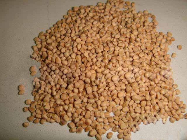 果壳滤料在含油废水处理中的应用