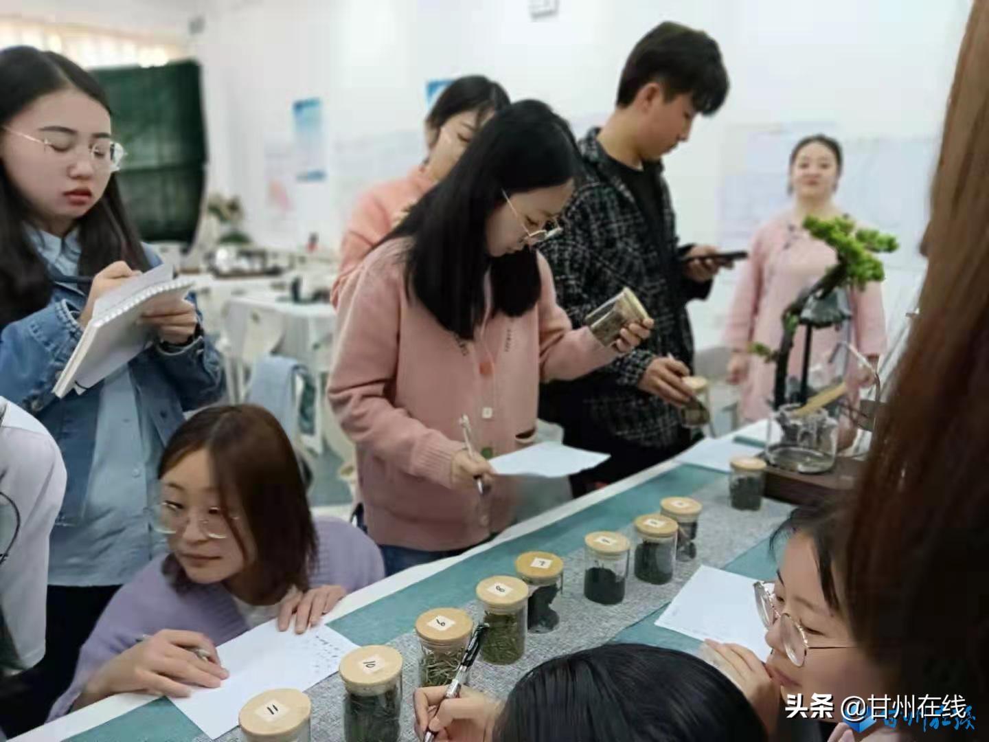 茶艺师手法，传统与现代的融合之美