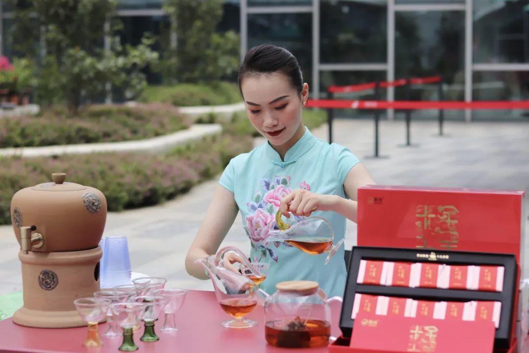 茶艺之道，茶出汤手法的精湛艺术