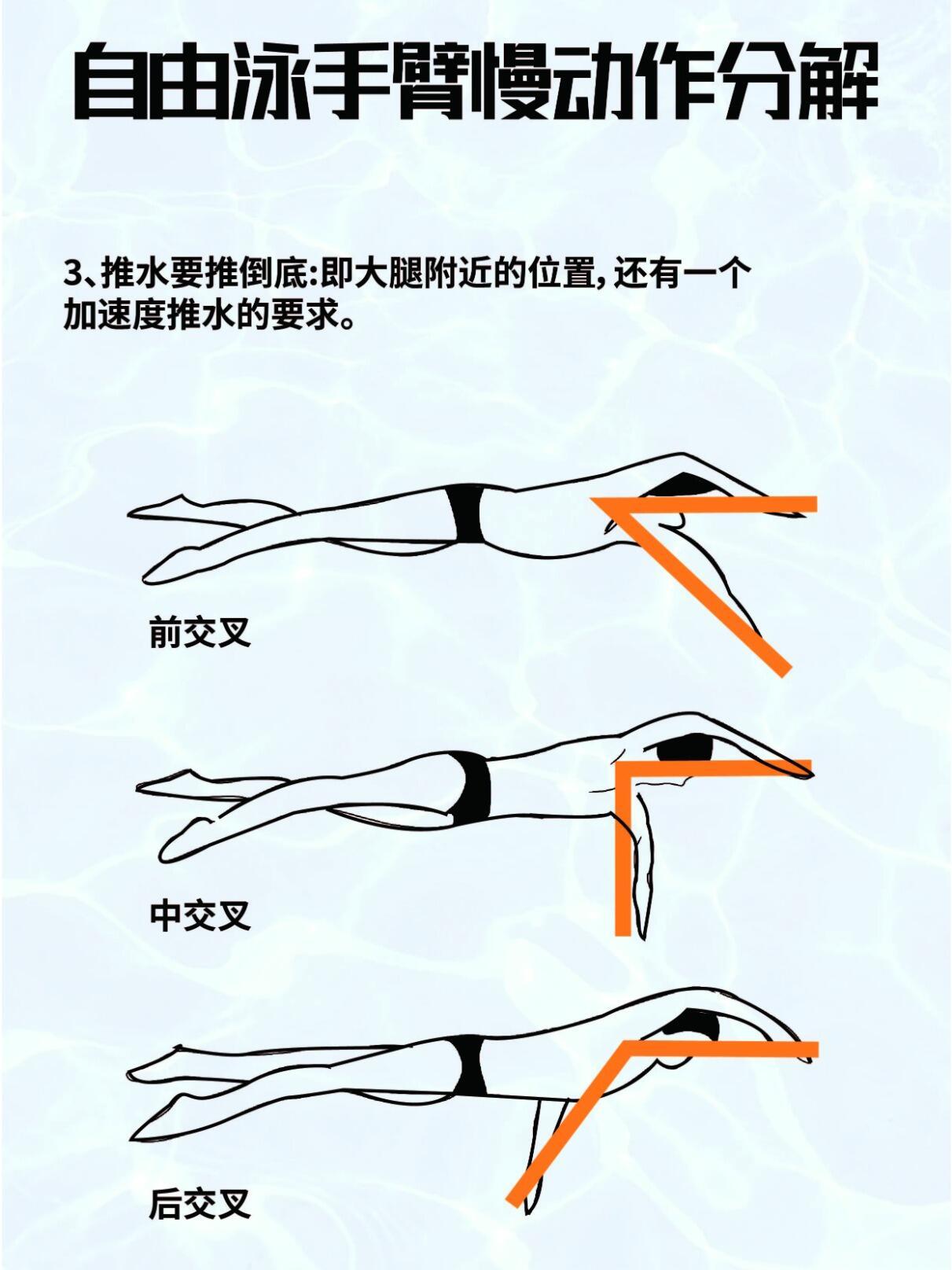 自由泳手臂动作详解，技巧与训练之道