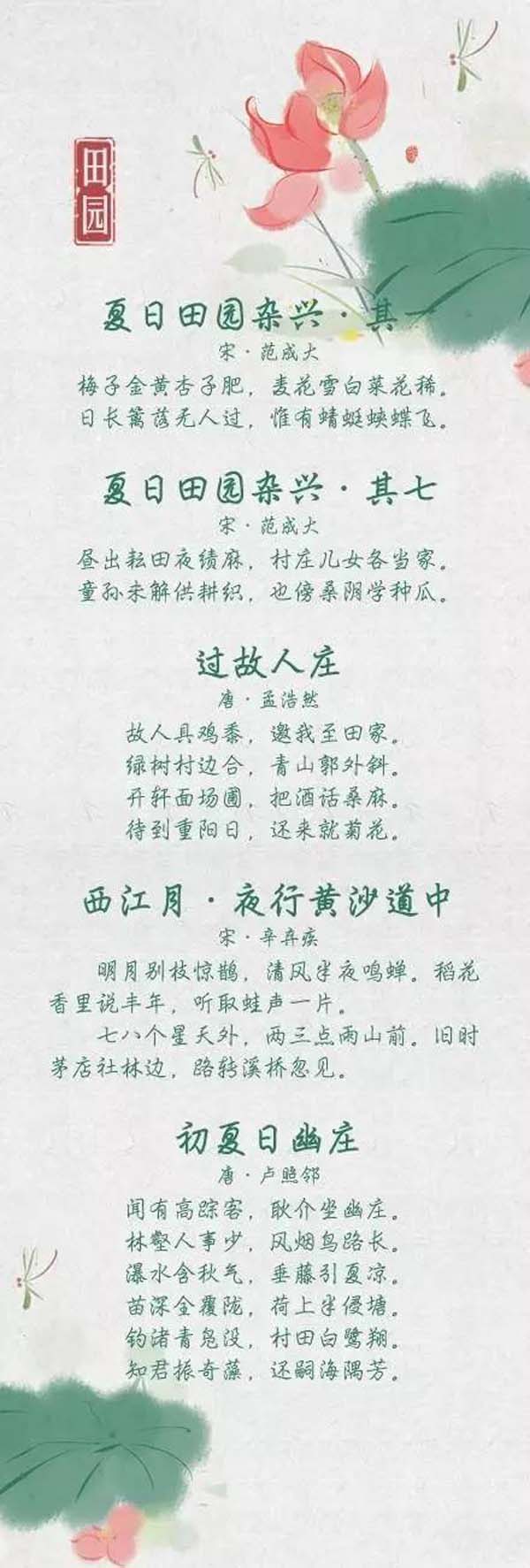 夏天的小诗歌
