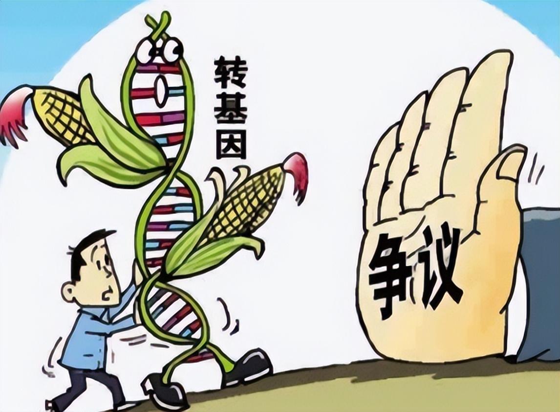 转基因技术，探索未来农业的新领域