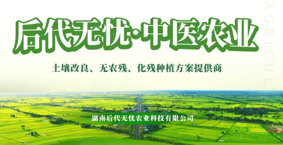 杂交技术，引领农业革命的先锋力量