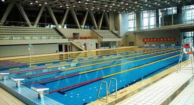 深圳游泳培训哪里最好？全方位解析为你揭晓答案