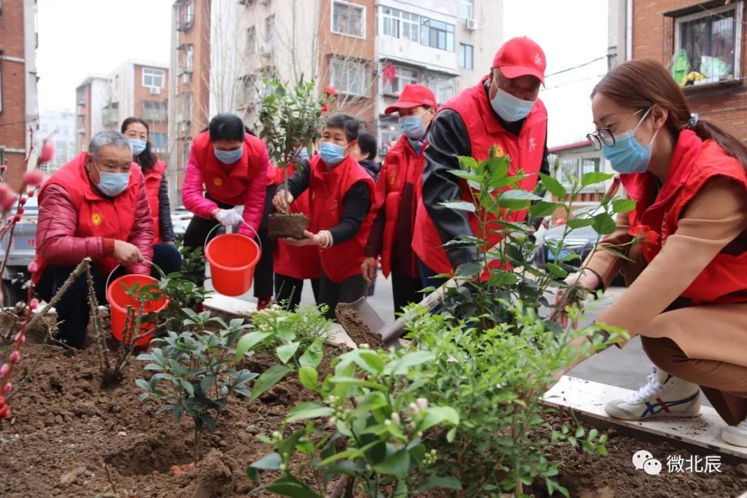 环保植树节内容，绿色行动与我们的未来