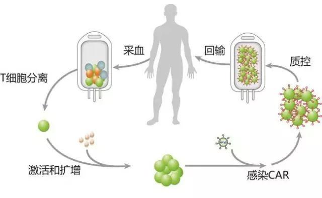 第593页