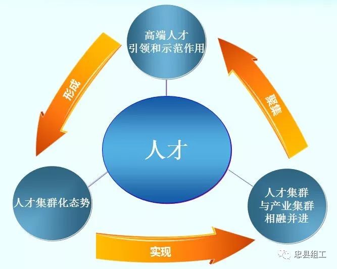 管理人员的作用，引领、协调、创新与发展
