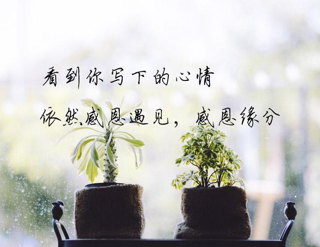 真心有缘分，探寻生命中的奇妙相遇