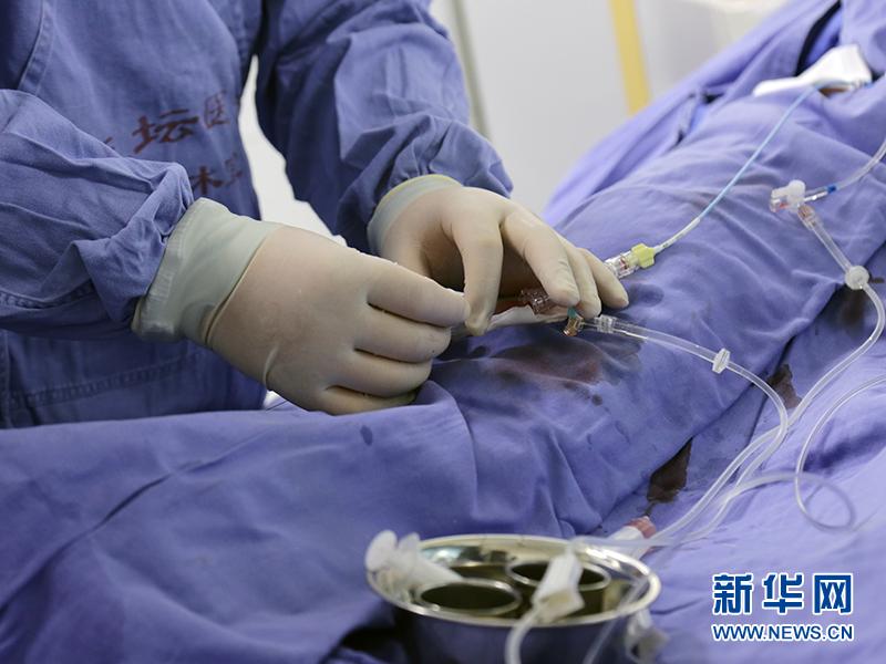 优质水管品牌，打造信赖的家居生命线