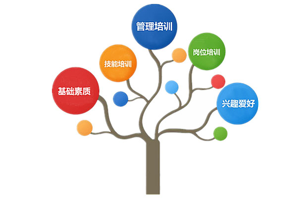 企业读书推荐，助力组织成长与员工发展的智慧源泉