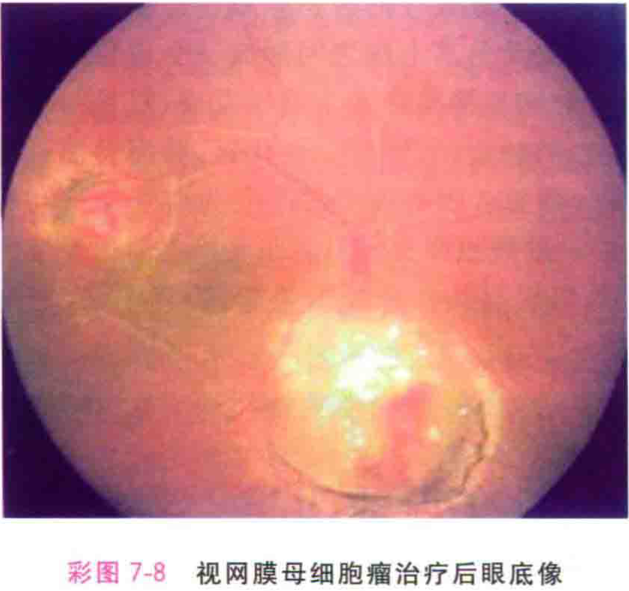 第546页