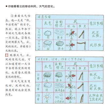 每日天气，观察、理解与适应