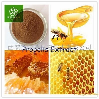 蜂胶提取的最佳方法