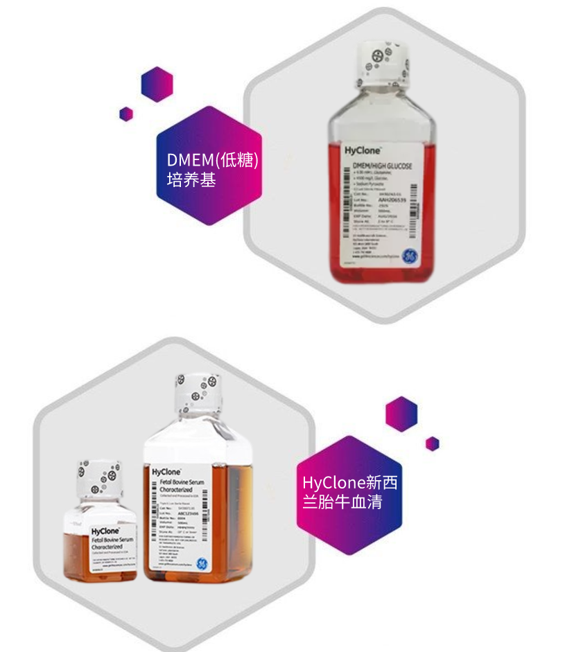 HyClone胎牛血清价格分析，市场现状、影响因素与未来趋势