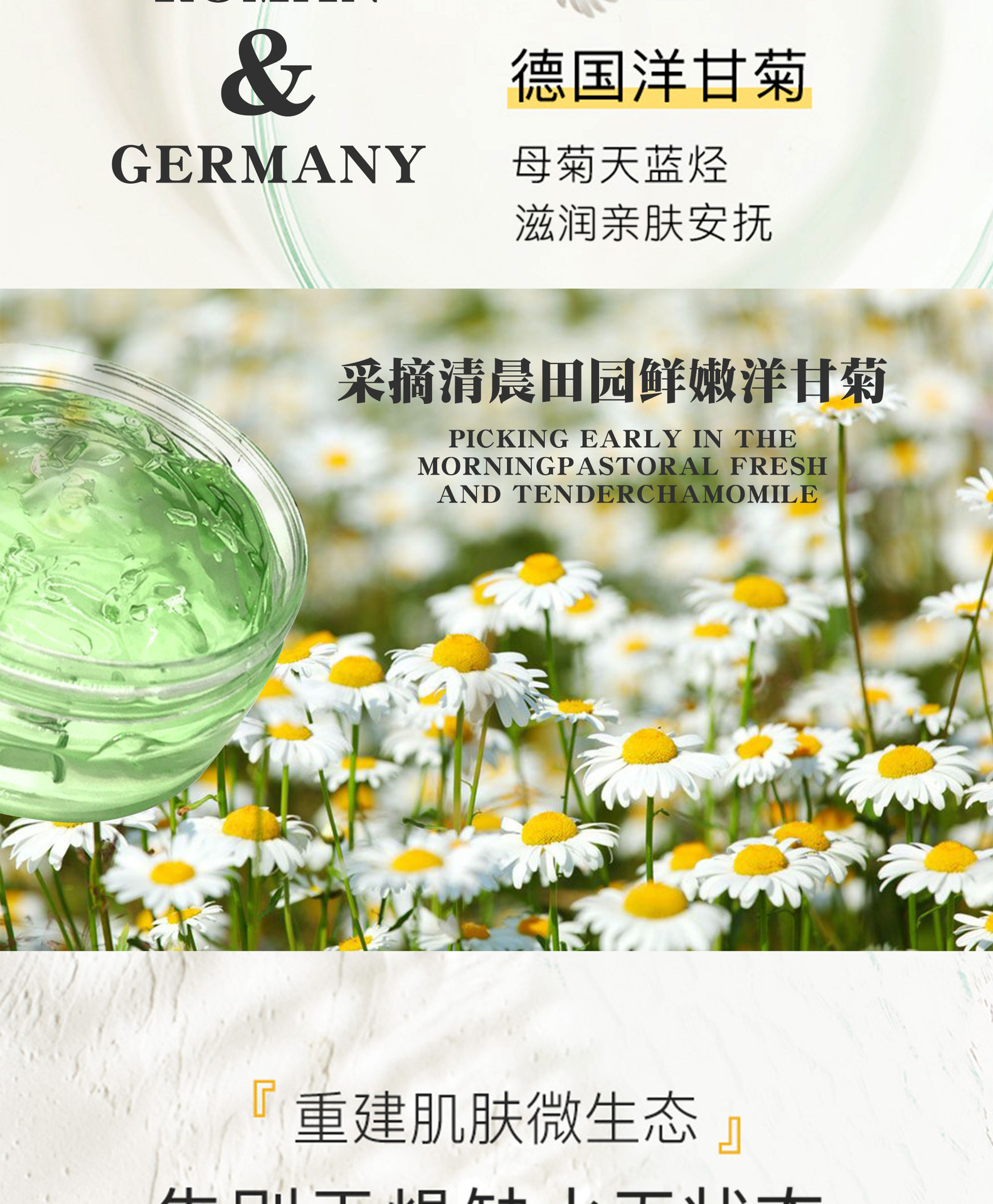 洋甘菊冰晶的使用指南