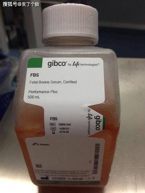 美国Gibco血清，生命科学研究中的黄金标准