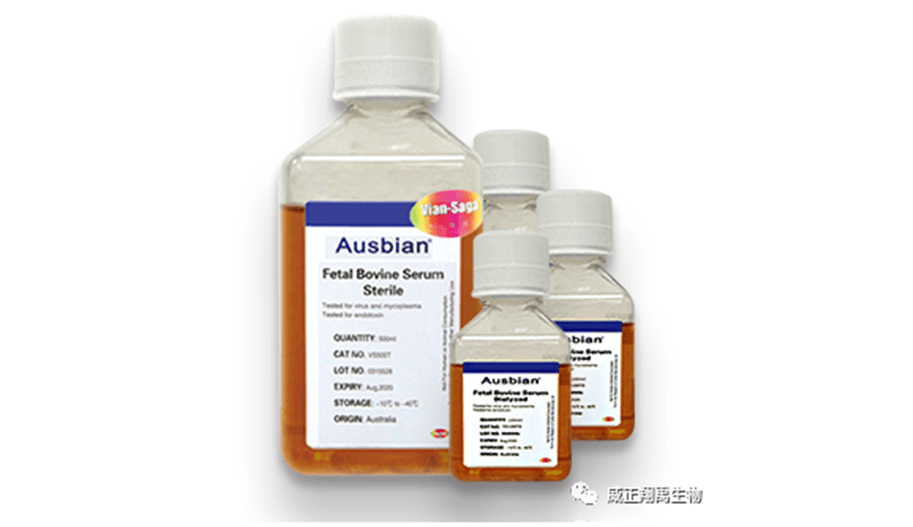 澳洲胎牛血清，探索其在生命科学领域的重要性
