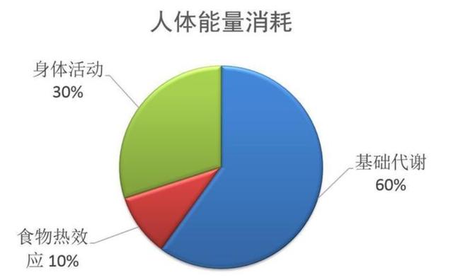 代谢快，身体的奥秘与优势