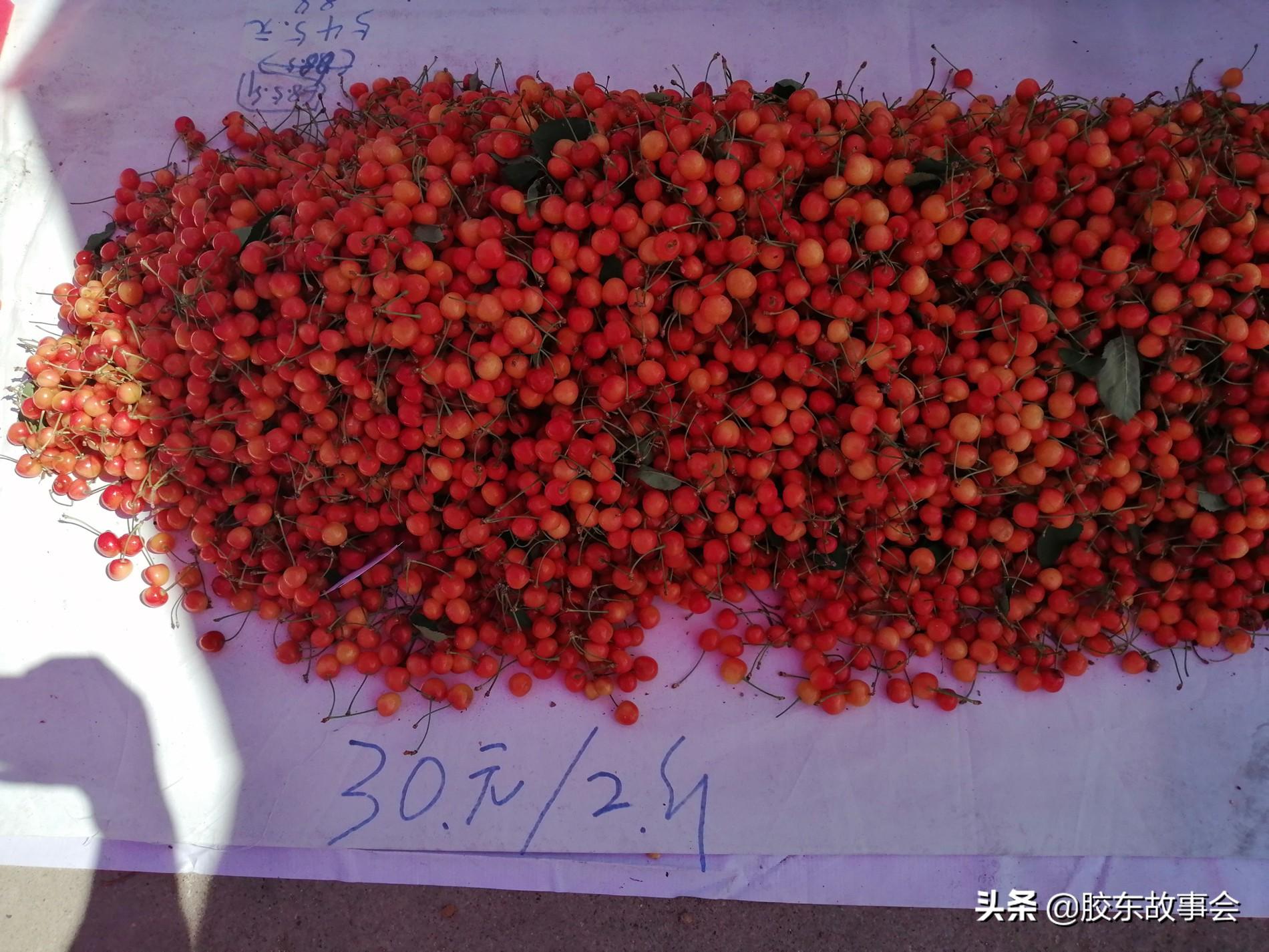 出口水果包装厂的有效期管理，保障质量与安全的双重考量