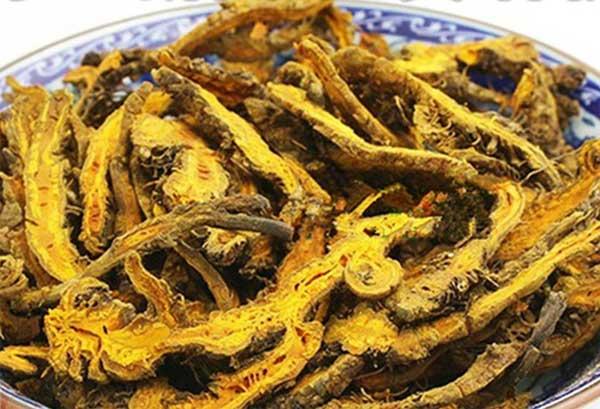 中药黄莲，神奇的功效与独特的药用价值