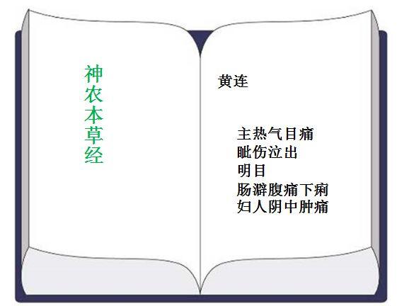 黄莲中药材，独特的药用价值与应用前景