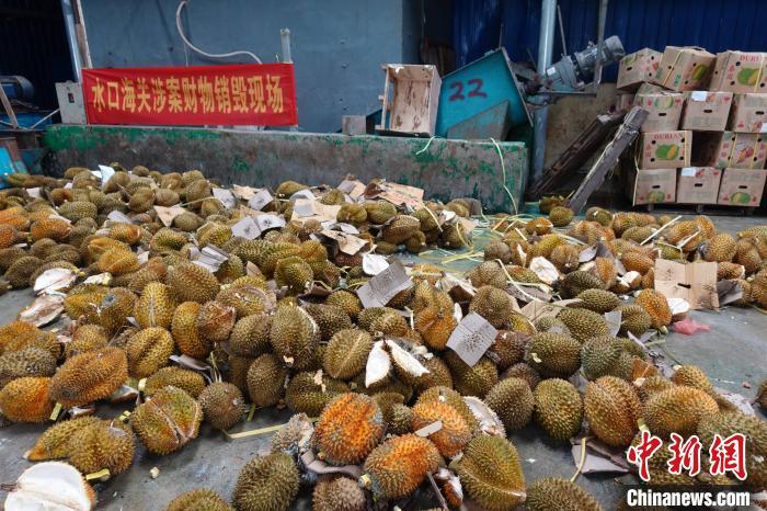 海关与水果，一道守护食品安全与贸易繁荣的亮丽风景线