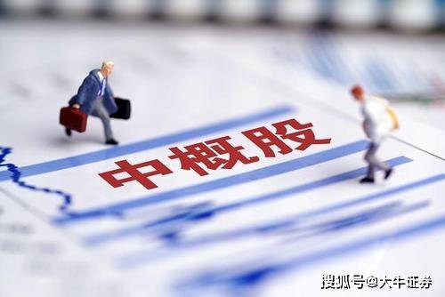 关于续保与转保的含义及其重要性