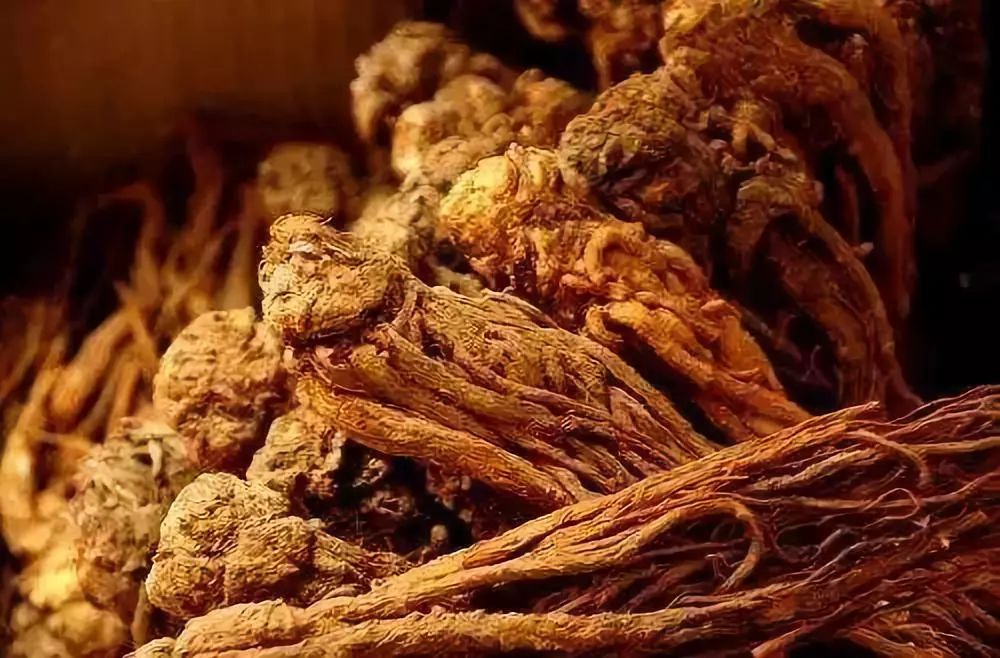 当归的疗效，古老草本的力量与现代科学的验证