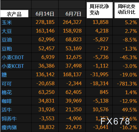 对冲基金多头押注，投资策略与市场动态