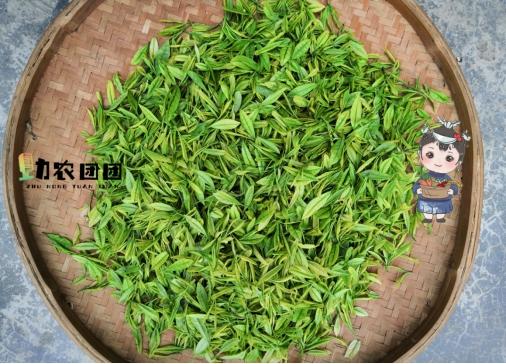 茅台——中国白酒的瑰宝