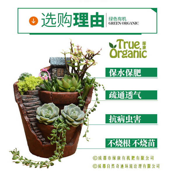 家庭做花肥，环保与园艺的完美结合