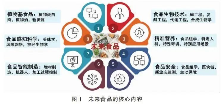 食品模型，塑造未来食品产业的基石