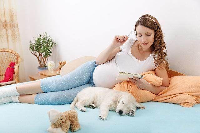 孕妇无聊游戏，一种娱乐与胎教相结合的新选择