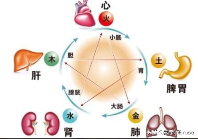 鼻子上的经络图，揭示人体经络的奥秘