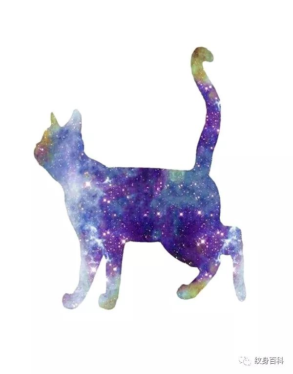 精品双面绣猫，传统工艺的璀璨瑰宝