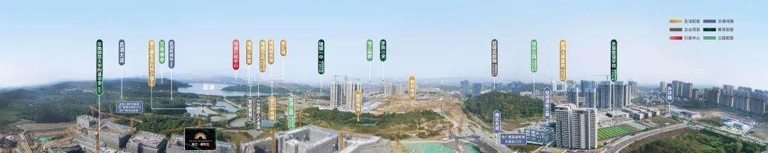 咨询 第131页