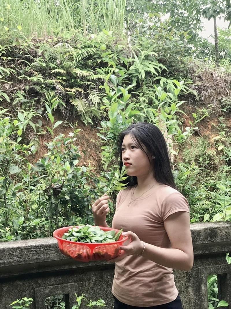 揭秘挤鼻子上的黑头视频，专业方法与注意事项