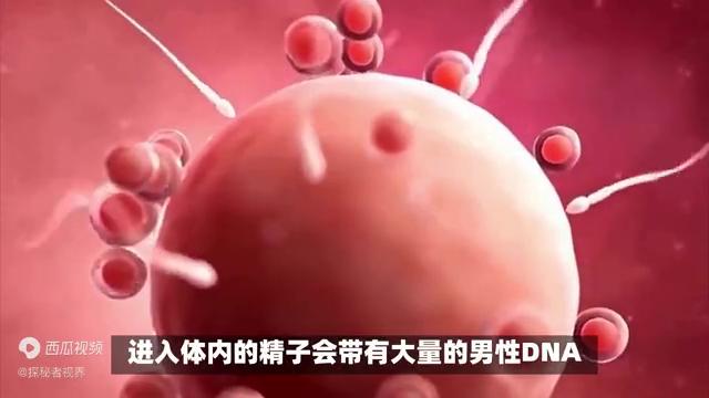 2025年4月 第251页