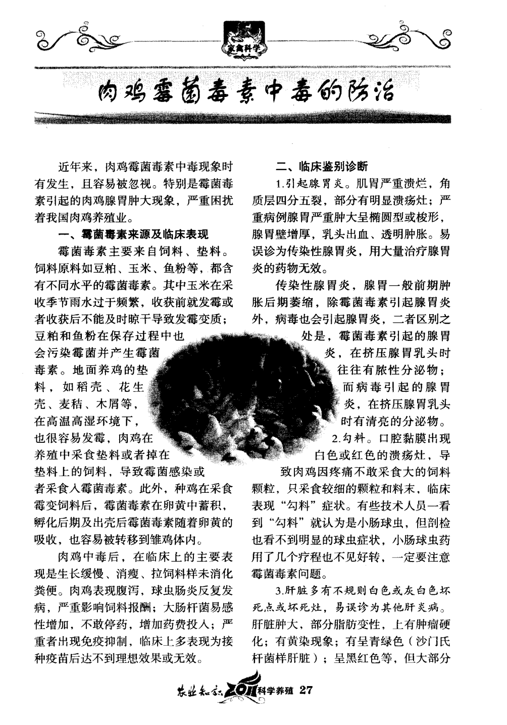 饲料霉菌毒素中毒的种类及其影响