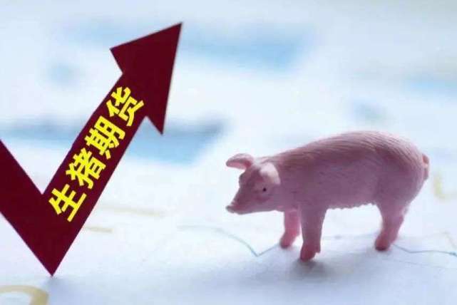 商品猪种类及其特点