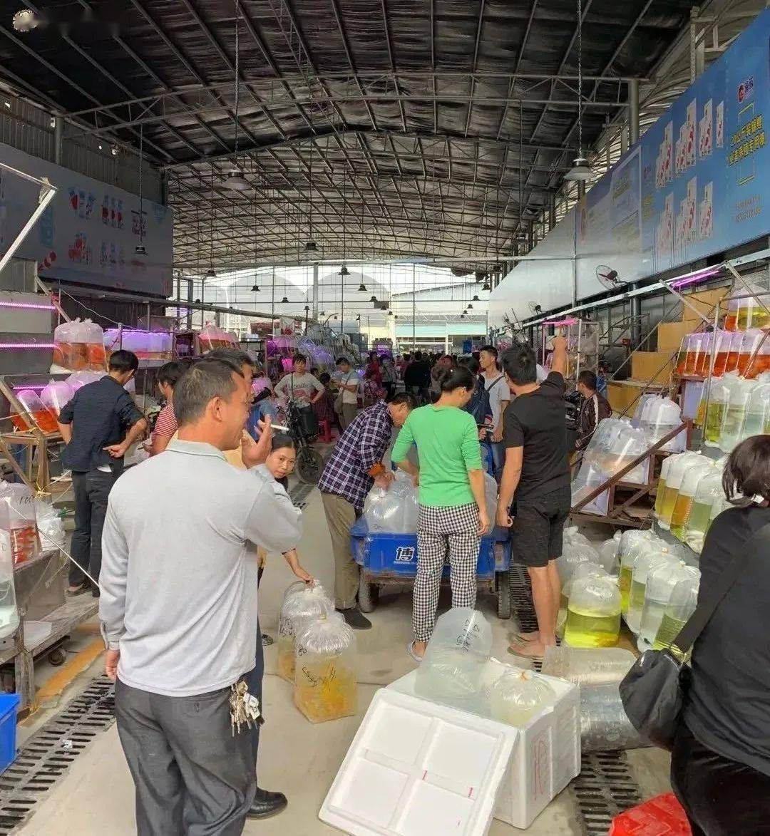 地摊新产品批发，探索未来商业的新机遇