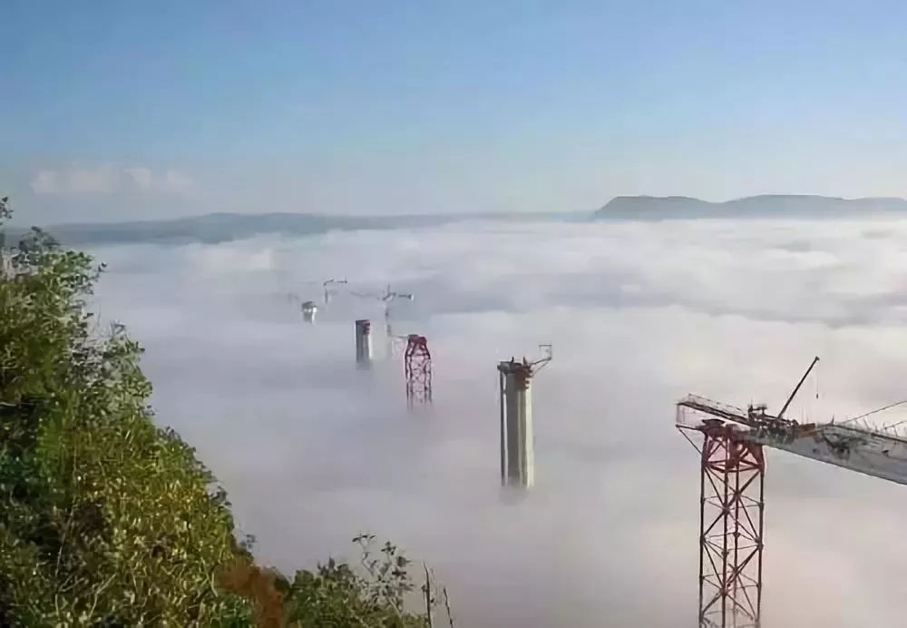 理想化模型，探索与现实世界的桥梁