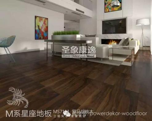 圣象地板8806效果图，展现优雅与品质的家居之选