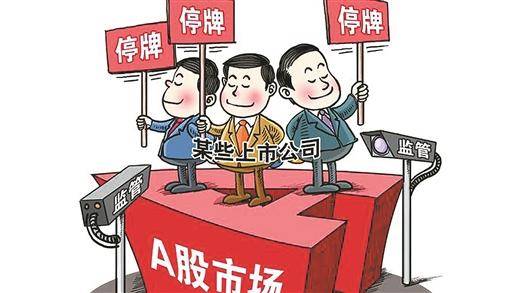 侵犯上市公司利益，警示与反思